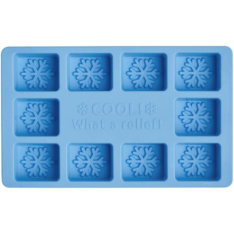 Chill jääkuubikuvorm logoga