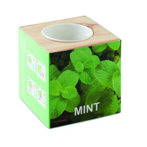 MENTA – piparmündi kasvatuskomplekt