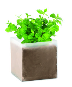 MINT – seemnetega kompost