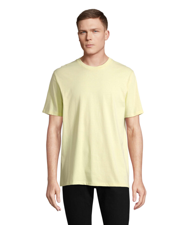 SOL’S LEGEND orgaanilisest puuvillast T-särk 175 g/m²