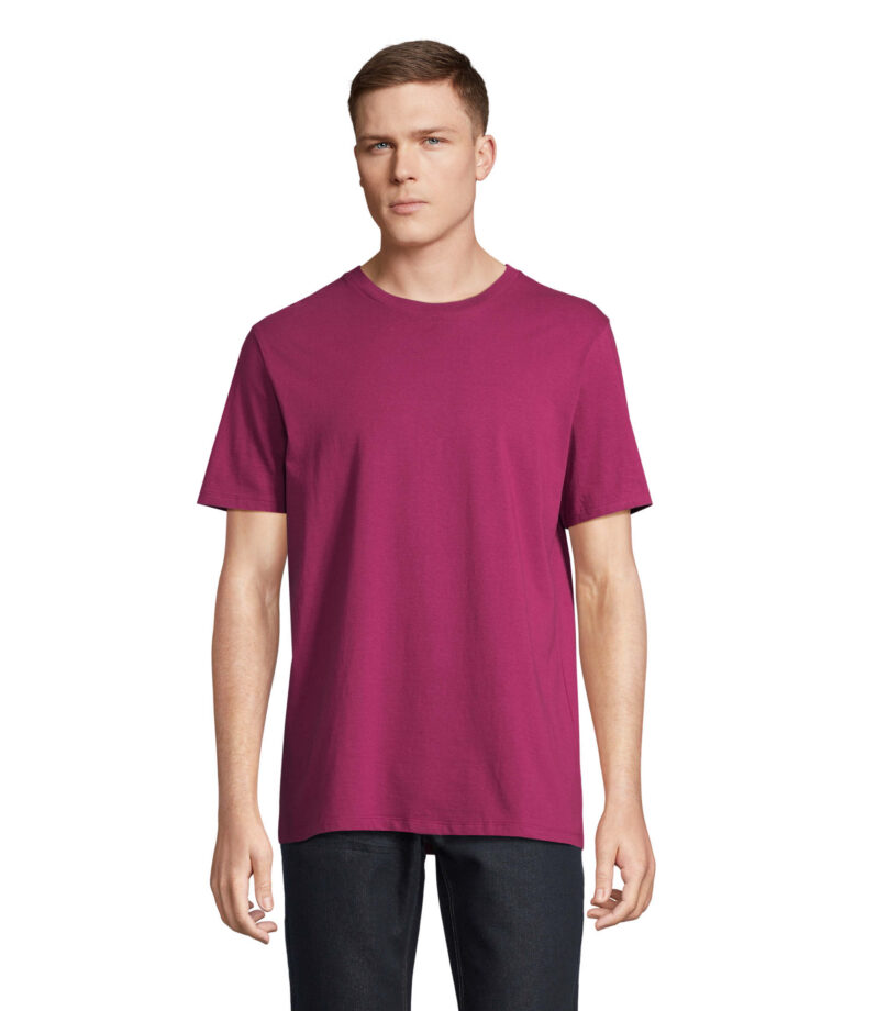 SOL’S LEGEND orgaanilisest puuvillast T-särk 175 g/m²