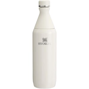 Stanley All Day Slim veepudel, 600 ml